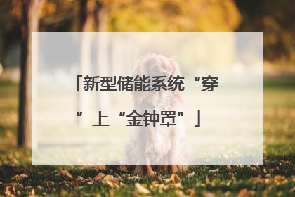 新型储能系统“穿”上“金钟罩”