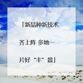 新品种新技术齐上阵 多地一片好“丰”景