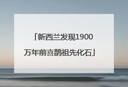新西兰发现1900万年前喜鹊祖先化石