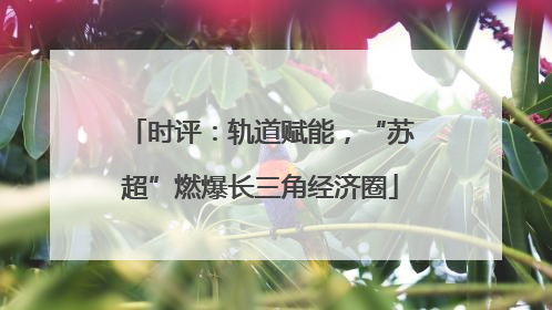时评：轨道赋能，“苏超”燃爆长三角经济圈