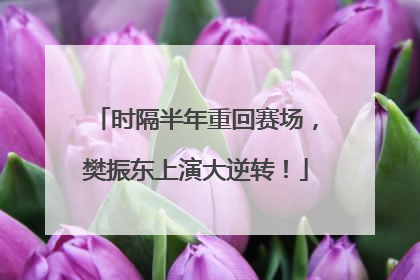 时隔半年重回赛场，樊振东上演大逆转！