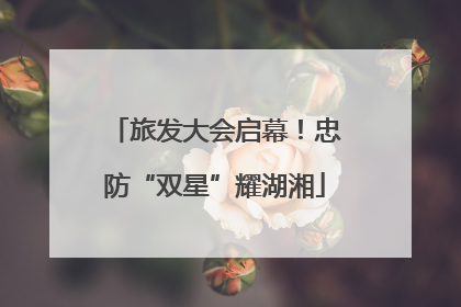 旅发大会启幕！忠防“双星”耀湖湘