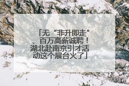 无“非升即走”、百万高薪诚聘！湖北赴南京引才活动这个展台火了