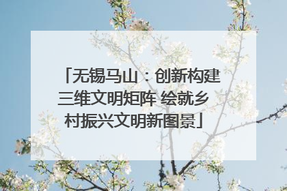 无锡马山：创新构建三维文明矩阵 绘就乡村振兴文明新图景