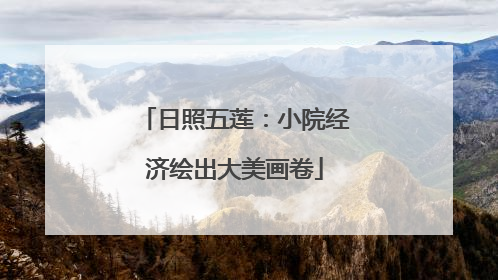 日照五莲：小院经济绘出大美画卷