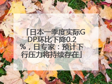 日本一季度实际GDP环比下降0.2%，日专家：预计下行压力将持续存在