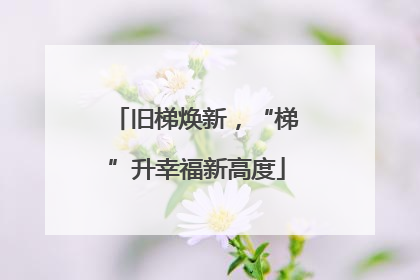 旧梯焕新，“梯”升幸福新高度