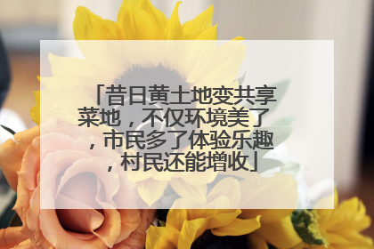 昔日黄土地变共享菜地，不仅环境美了，市民多了体验乐趣，村民还能增收