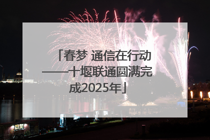 春梦 通信在行动——十堰联通圆满完成2025年