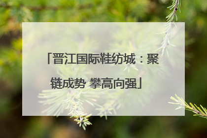 晋江国际鞋纺城：聚链成势 攀高向强
