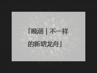 晚潮｜不一样的新塘龙舟