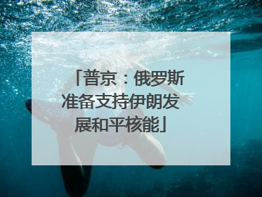 普京：俄罗斯准备支持伊朗发展和平核能