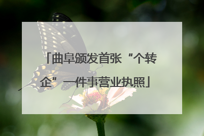 曲阜颁发首张“个转企”一件事营业执照