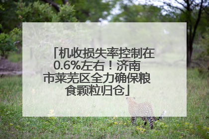 机收损失率控制在0.6%左右！济南市莱芜区全力确保粮食颗粒归仓