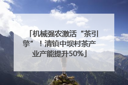机械强农激活“茶引擎”！清镇中坝村茶产业产能提升50%