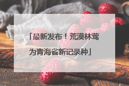 最新发布！荒漠林莺为青海省新记录种