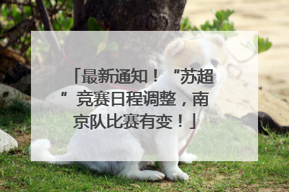 最新通知！“苏超”竞赛日程调整，南京队比赛有变！