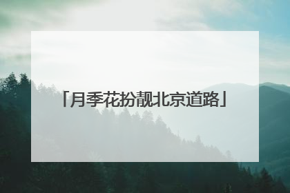 月季花扮靓北京道路