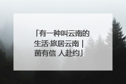 有一种叫云南的生活·旅居云南｜菌有信 人赴约