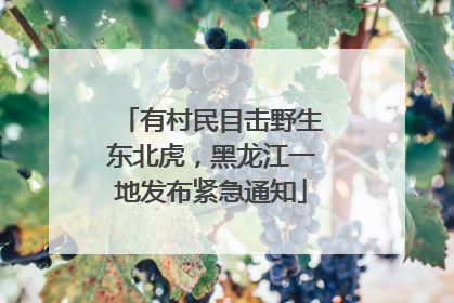 有村民目击野生东北虎，黑龙江一地发布紧急通知