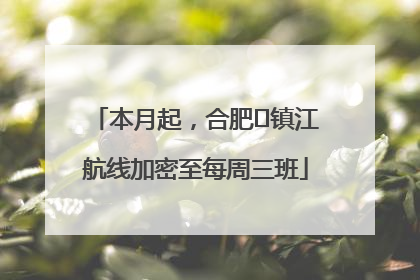 本月起，合肥⇋镇江航线加密至每周三班