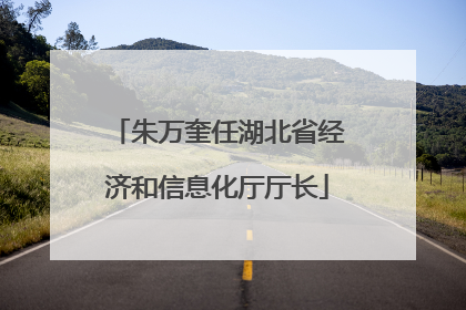 朱万奎任湖北省经济和信息化厅厅长