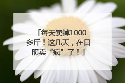 每天卖掉1000多斤！这几天，在日照卖“疯”了！