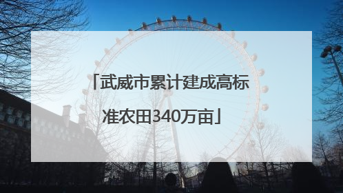 武威市累计建成高标准农田340万亩