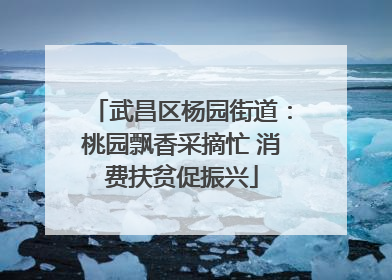 武昌区杨园街道：桃园飘香采摘忙 消费扶贫促振兴