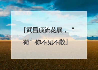 武昌顶流花展，“荷”你不见不散