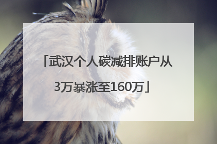 武汉个人碳减排账户从3万暴涨至160万