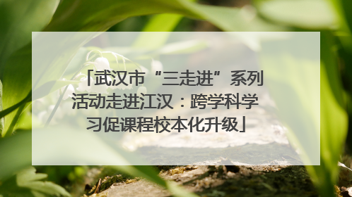 武汉市“三走进”系列活动走进江汉：跨学科学习促课程校本化升级
