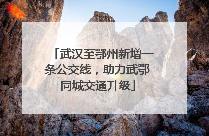 武汉至鄂州新增一条公交线，助力武鄂同城交通升级