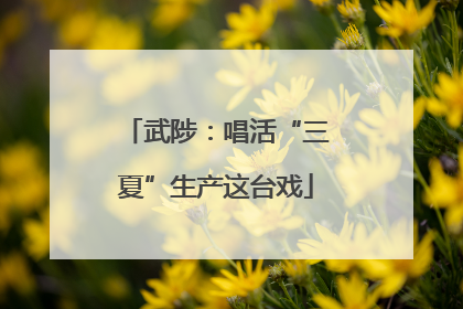 武陟：唱活“三夏”生产这台戏