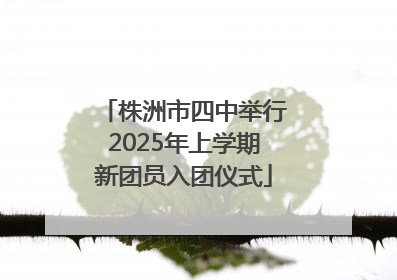株洲市四中举行2025年上学期新团员入团仪式
