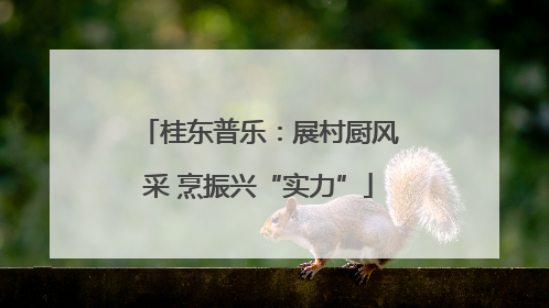 桂东普乐：展村厨风采 烹振兴“实力”