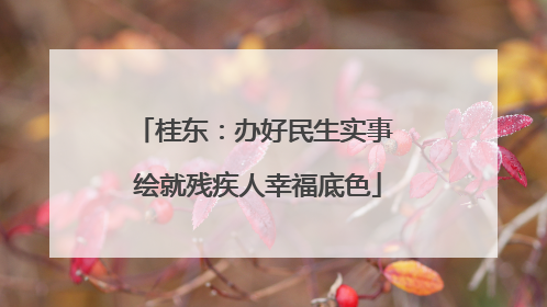 桂东：办好民生实事 绘就残疾人幸福底色