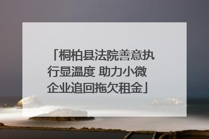桐柏县法院善意执行显温度 助力小微企业追回拖欠租金