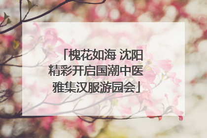 槐花如海 沈阳精彩开启国潮中医雅集汉服游园会