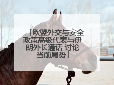 欧盟外交与安全政策高级代表与伊朗外长通话 讨论当前局势