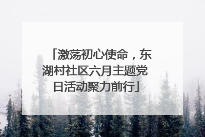 激荡初心使命，东湖村社区六月主题党日活动聚力前行