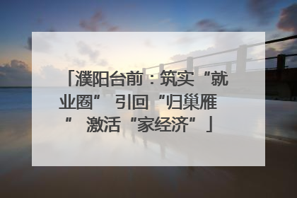 濮阳台前：筑实“就业圈” 引回“归巢雁” 激活“家经济”