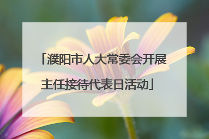濮阳市人大常委会开展主任接待代表日活动