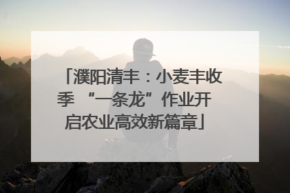 濮阳清丰：小麦丰收季 “一条龙”作业开启农业高效新篇章