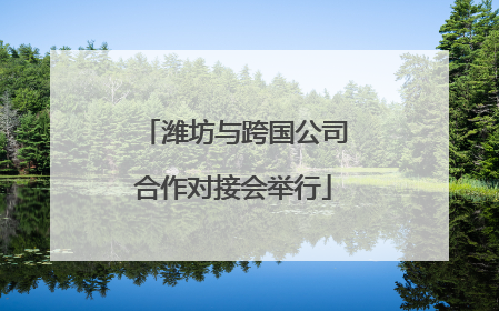 潍坊与跨国公司合作对接会举行