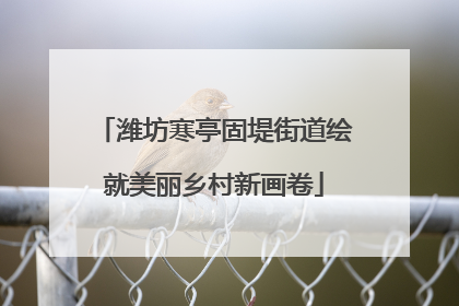 潍坊寒亭固堤街道绘就美丽乡村新画卷