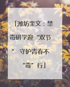 潍坊奎文：禁毒研学迎“双节” 守护青春不“毒”行