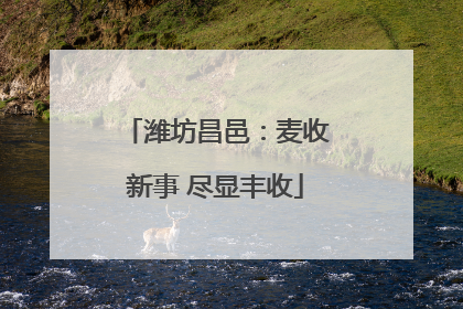 潍坊昌邑：麦收新事 尽显丰收
