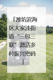 潍坊滨海区大家洼街道“三包三联”激活乡村振兴密码