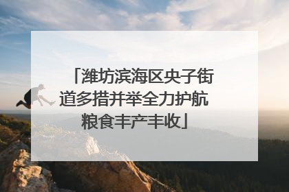潍坊滨海区央子街道多措并举全力护航粮食丰产丰收